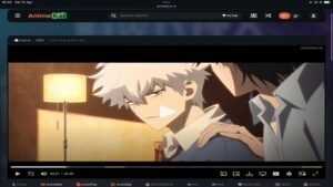 AnimeKai APK v1.0.0 1