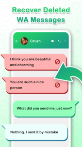 Delmsg Recwa App 4