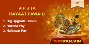 WINPKR Download for Android 2